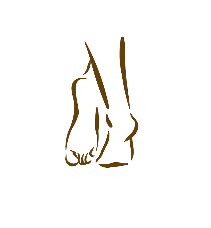 The Conscious Chronicles